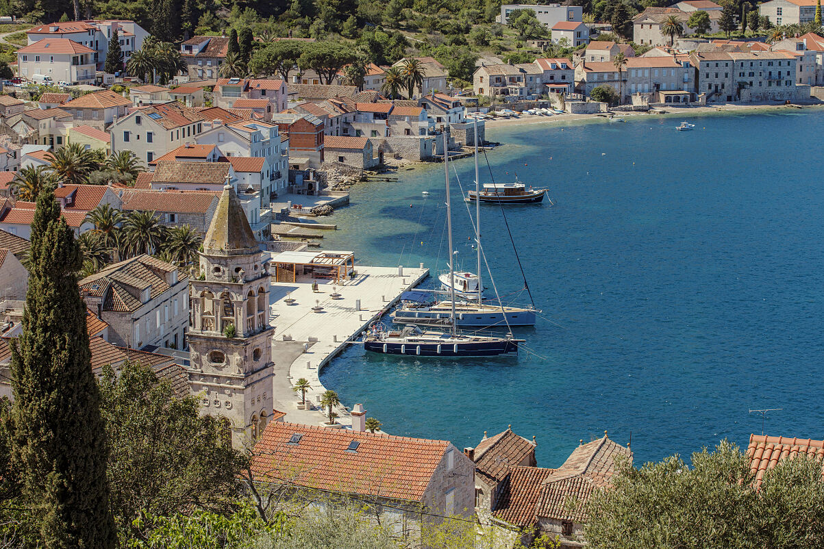 Vis