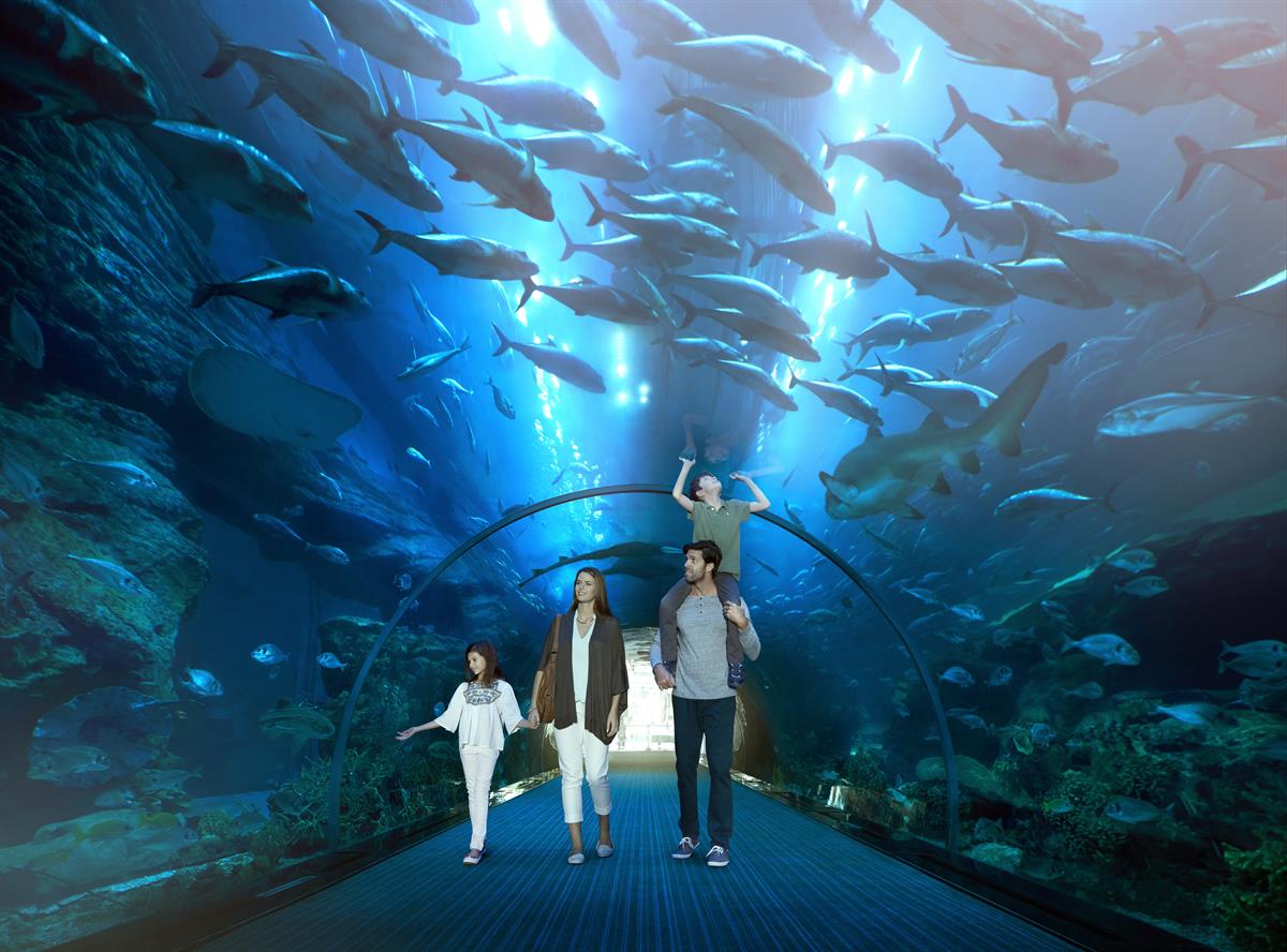 HIGH RES_Culture_Aquarium