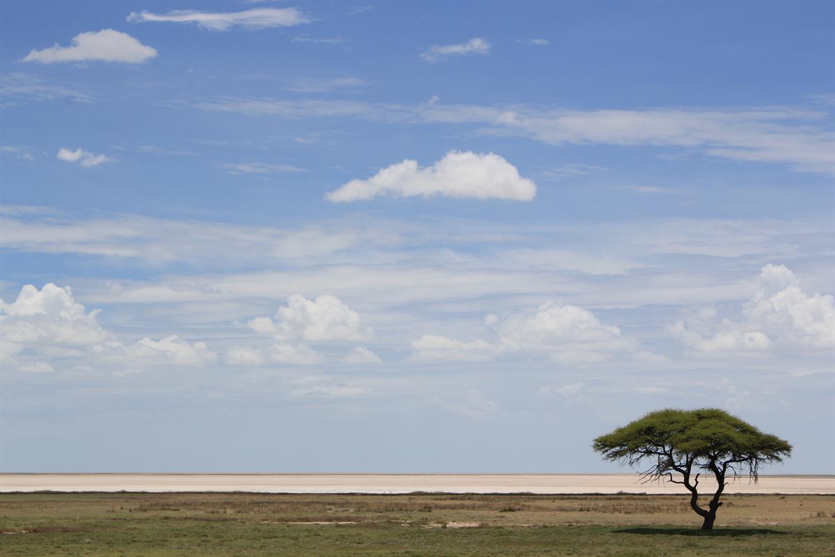 Etosha National Park