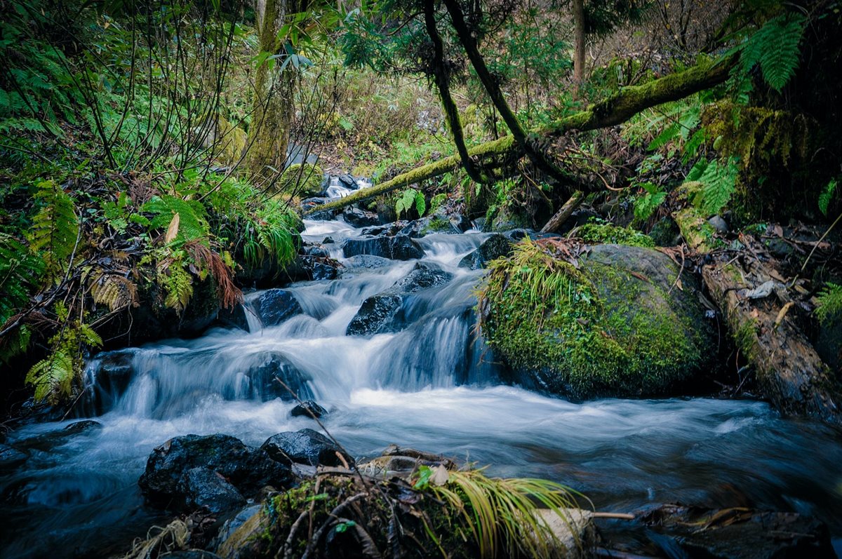 Neues Microsoft-Klimaziel: Bis 2030 positive Wasserbilanz