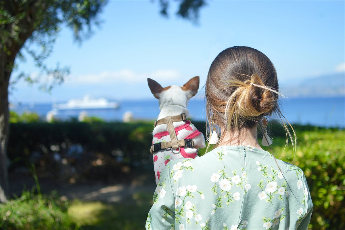 Urlaub mit Hund