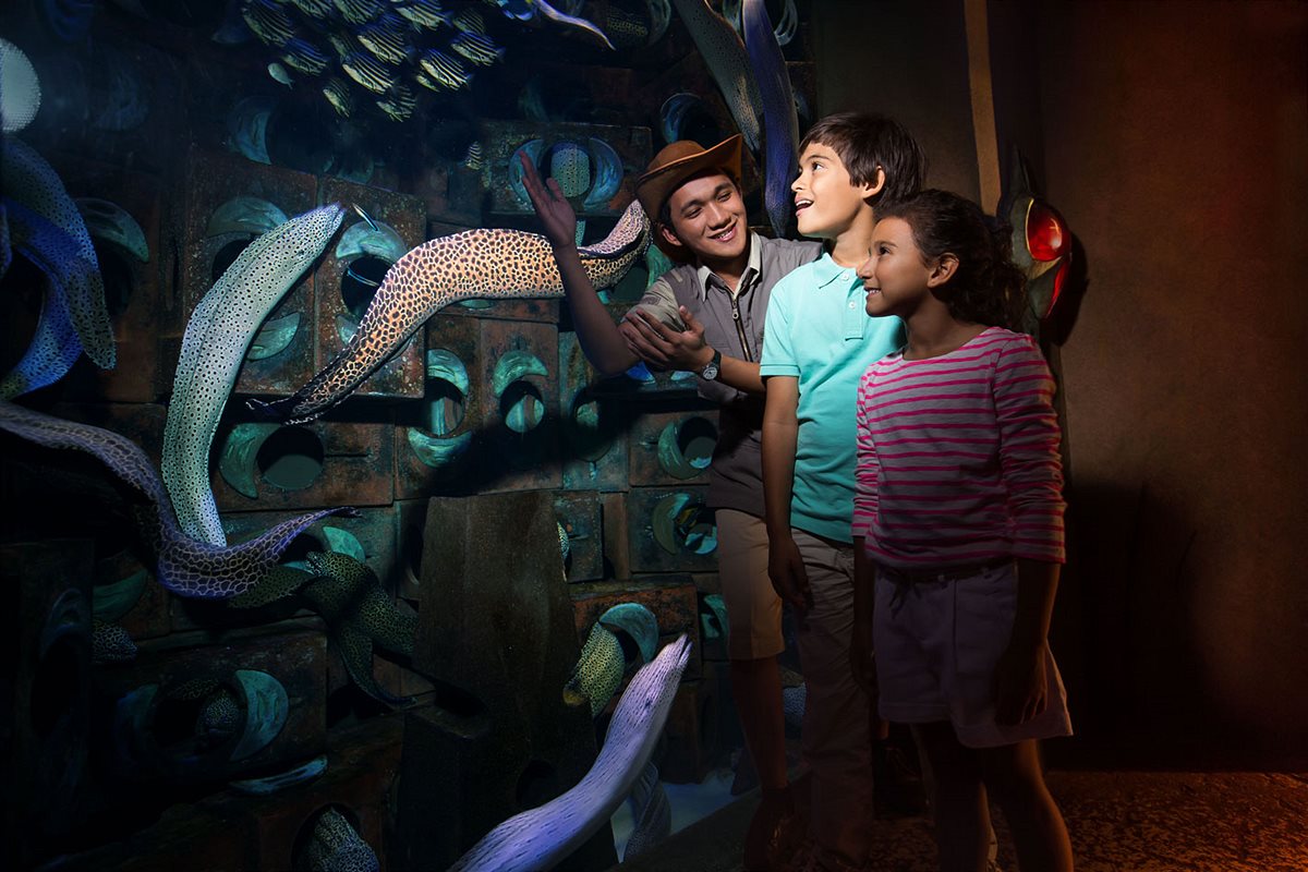 Unterwasserwelt The Lost Chambers Aquarium