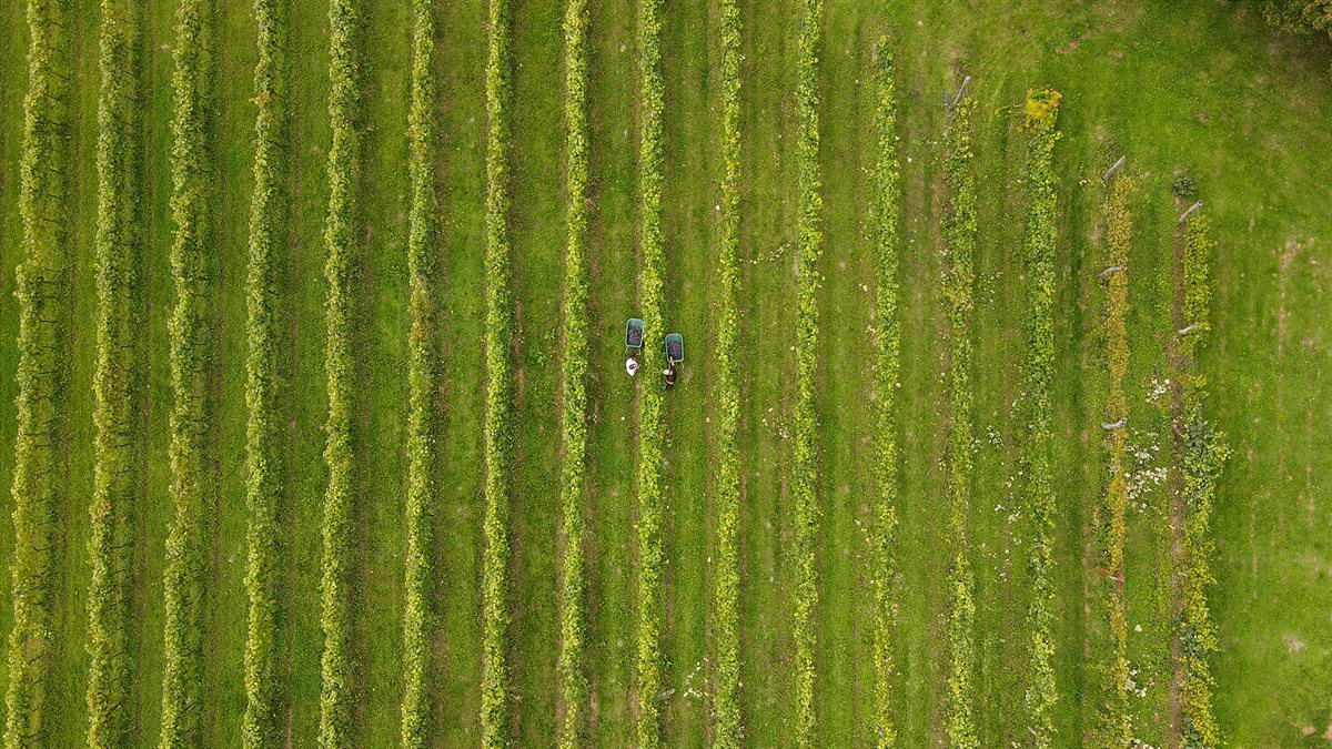 Huawei Smart Farming Projekt 