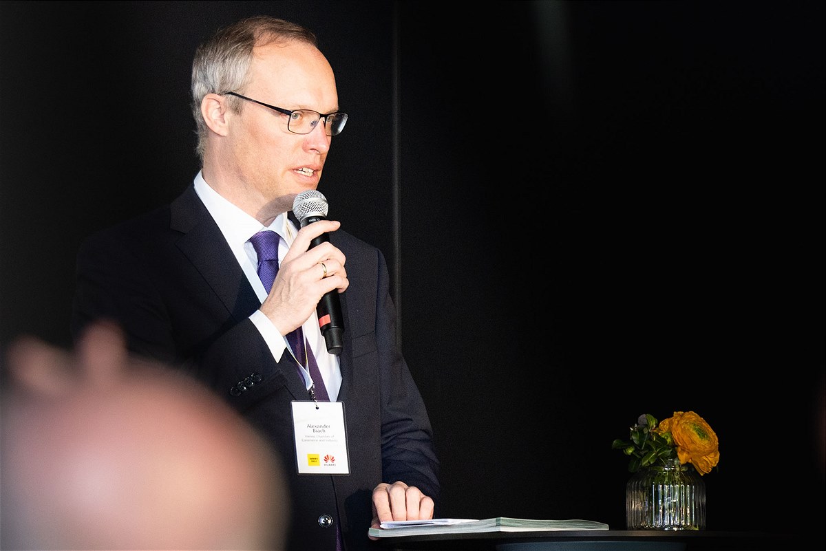 Alexander Biach - Wirtschaftskammer Wien, Kammerdirektion-Stellvertretung