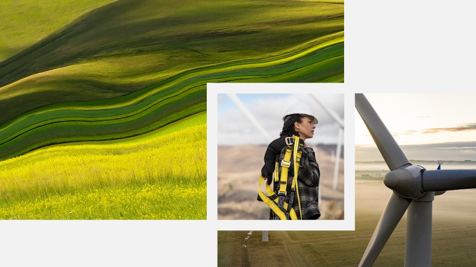 Die Cloud for Sustainability ist ab 1. Juni verfügbar