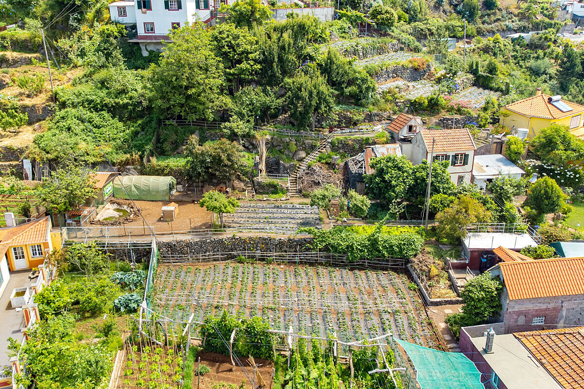 Funchal
