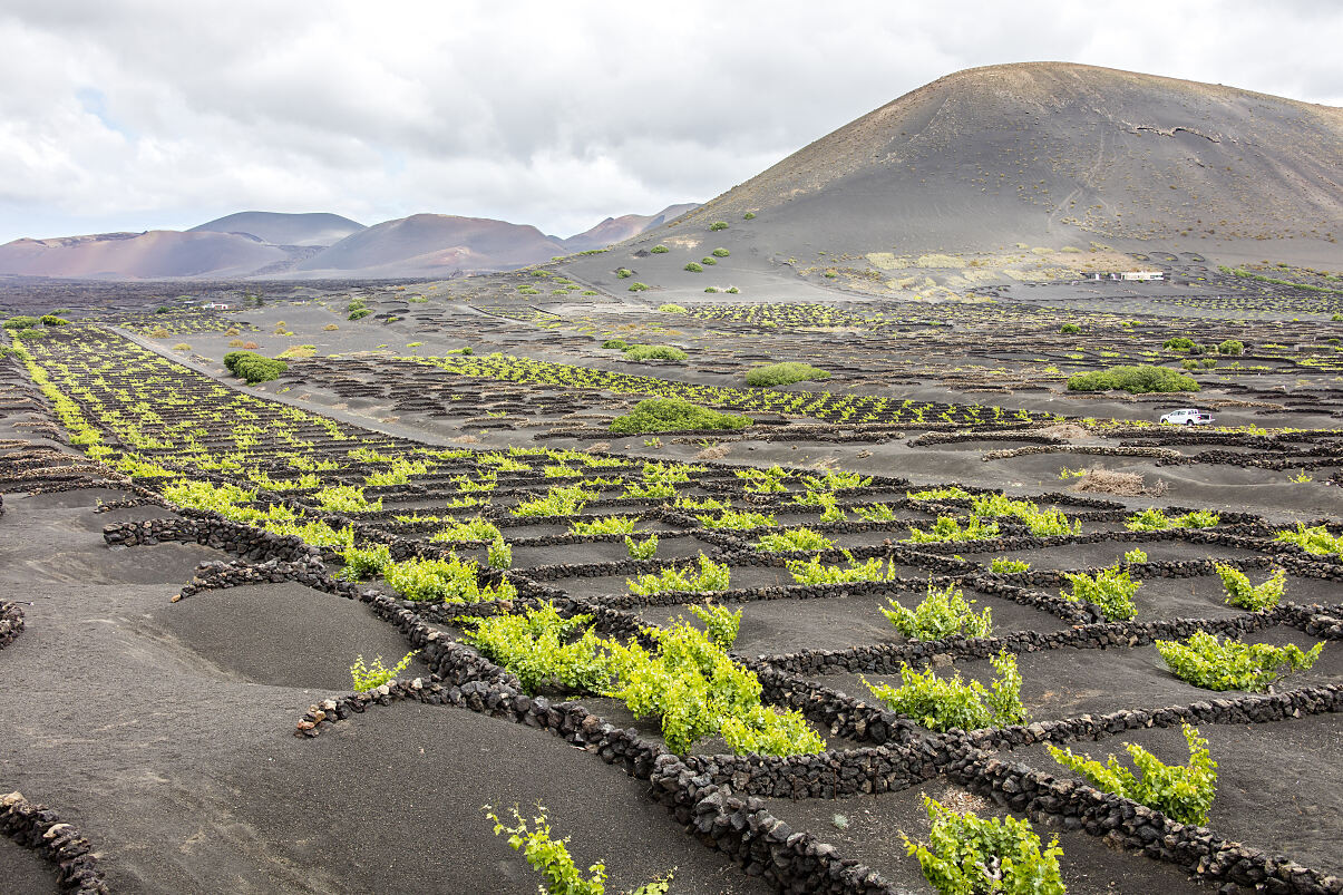 Lanzarote