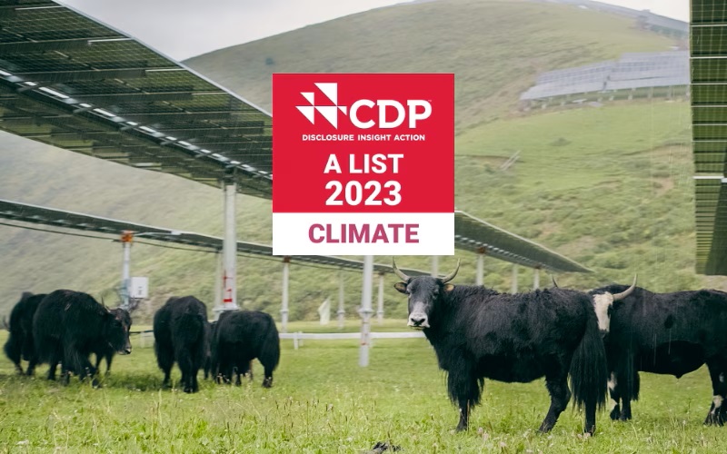 Huawei erneut auf der A-Liste des CDP für herausragende Klimaschutzmaßnahmen