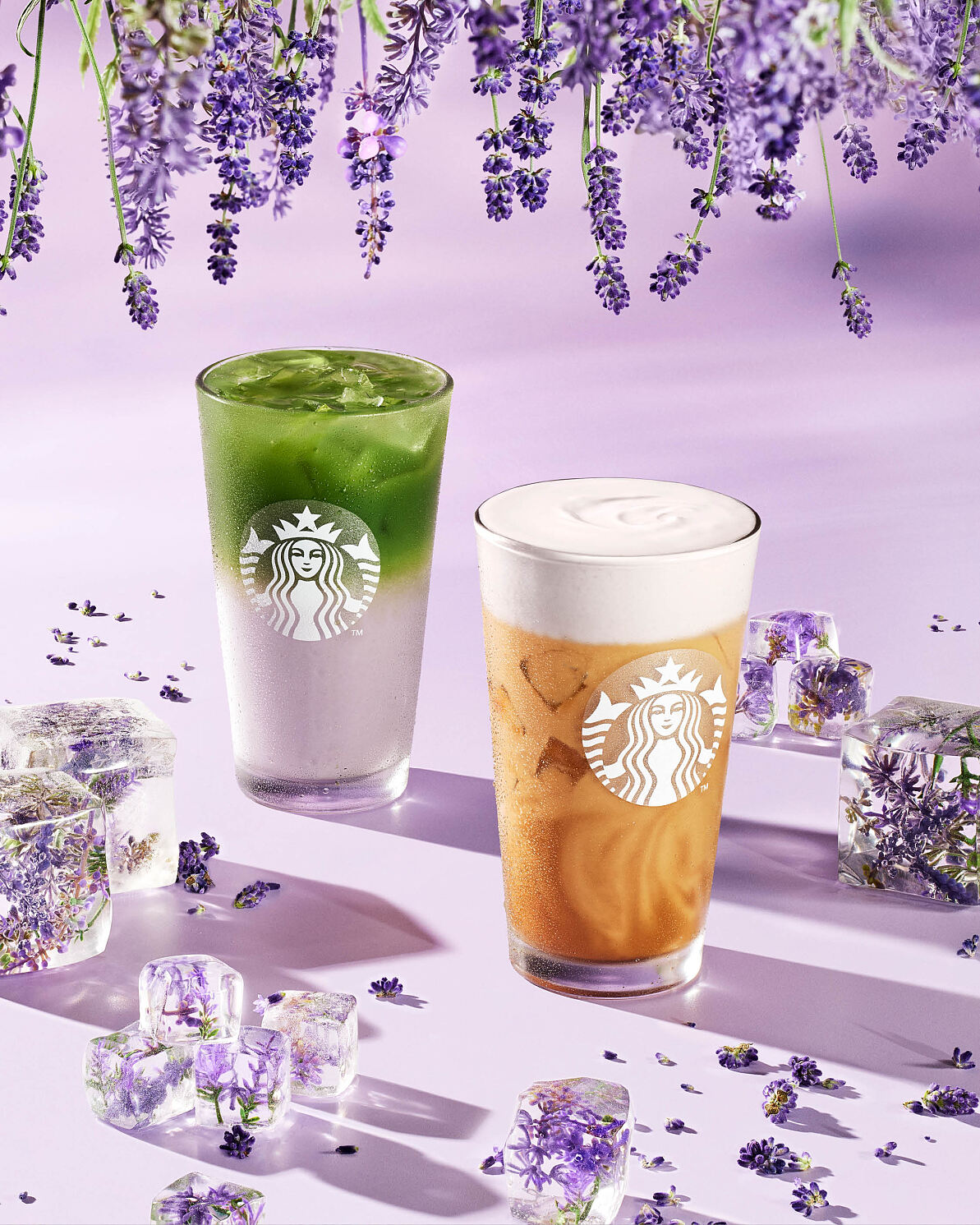 Starbucks Spring