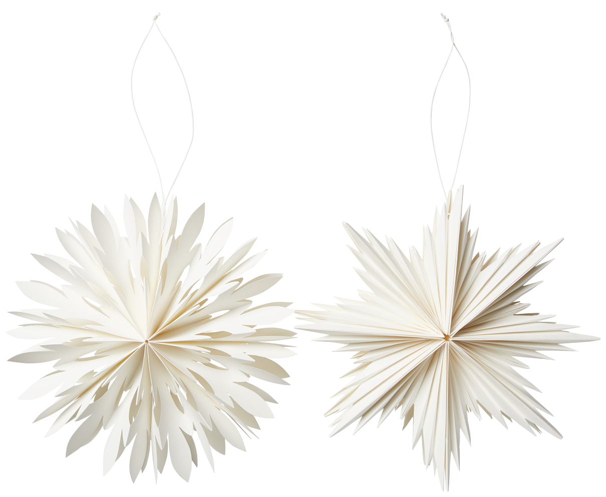 Weihnachtsstern SKRYMSLI